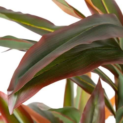 Ukrasna Biljka Dracaena Smeđa Zelena PVC 140 cm Cijena