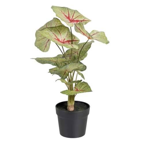 Ukrasna Biljka Crvena Zelena PVC 40 x 35 x 55 cm Cijena