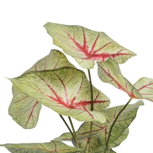 Ukrasna Biljka Crvena Zelena PVC 40 x 35 x 55 cm Cijena