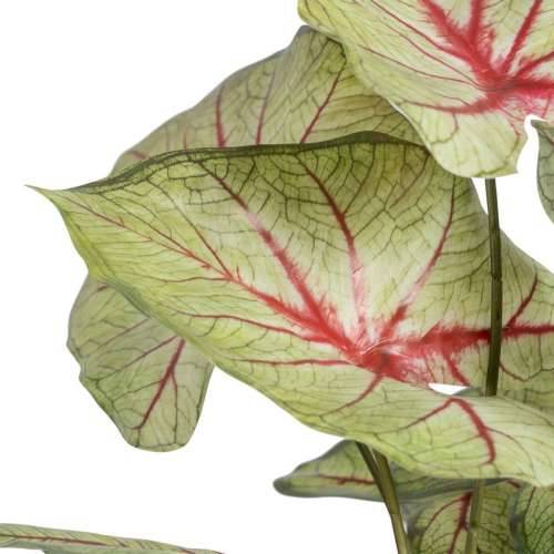 Ukrasna Biljka Crvena Zelena PVC 40 x 35 x 55 cm Cijena