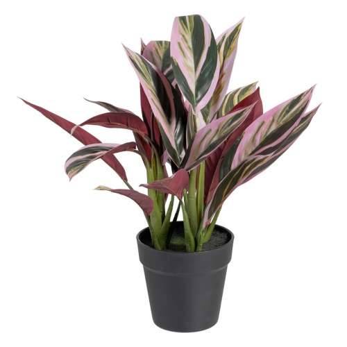 Ukrasna Biljka 44 x 39 x 48 cm Roza Zelena PVC Cijena