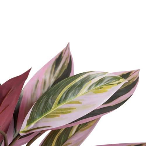 Ukrasna Biljka 44 x 39 x 48 cm Roza Zelena PVC Cijena