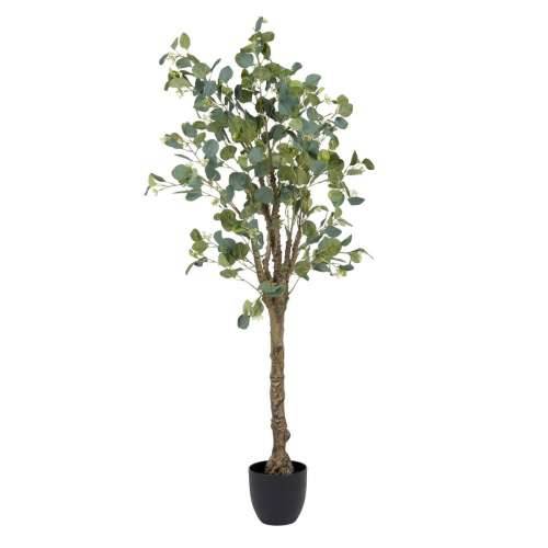 Ukrasna Biljka 78 x 68 x 150 cm Zelena PVC Eukaliptus Cijena