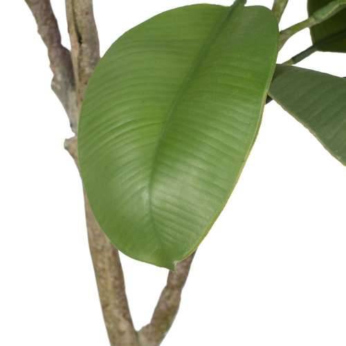 Ukrasna Biljka 116 cm Zelena PVC Ozols Cijena
