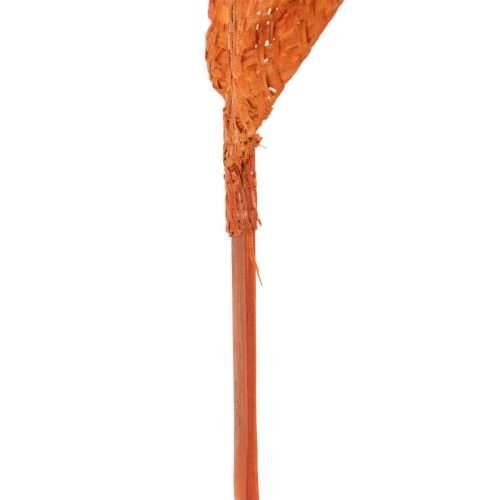 Grana Rafie Bambus 19 x 7 x 200 cm Cijena
