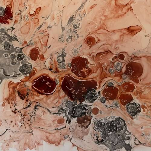 Stolni ukras Losos 29 x 29 x 5 cm Cijena