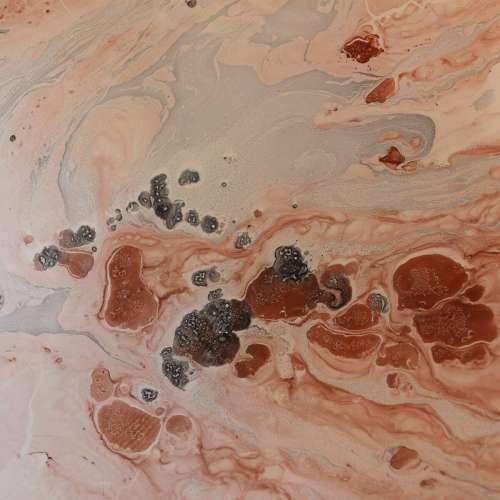 Stolni ukras Losos 39 x 39 x 6,5 cm Cijena