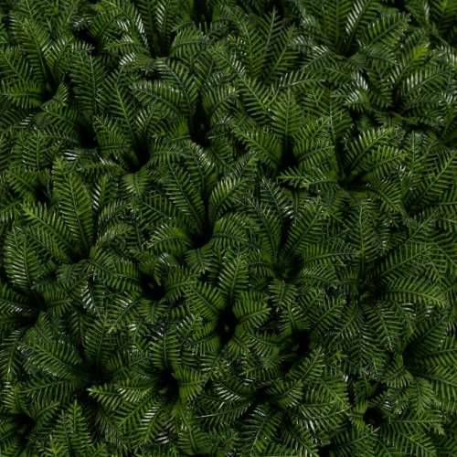 Ukrasna Biljka Zelena PVC 24 x 24 cm Cijena