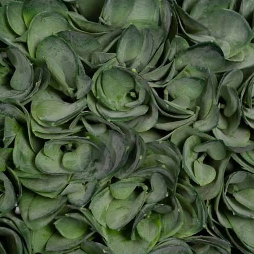 Ukrasna Biljka Zelena PVC 30 x 30 cm Cijena