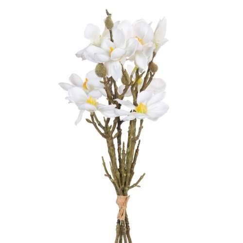 buket Bijela Zelena 37 x 20 x 41 cm Magnolia Cijena