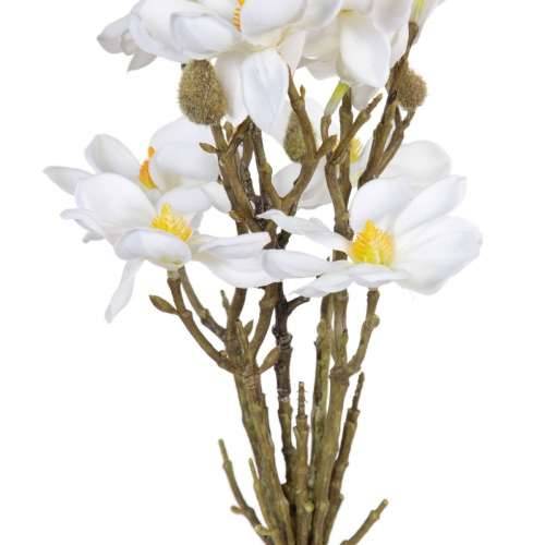 buket Bijela Zelena 37 x 20 x 41 cm Magnolia Cijena