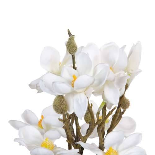 buket Bijela Zelena 37 x 20 x 41 cm Magnolia Cijena