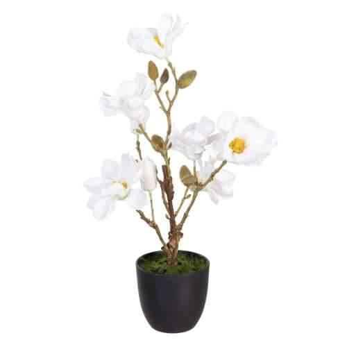 Ukrasna Biljka Poliester Polietilen Željezo 25 x 25 x 49 cm Magnolia Cijena