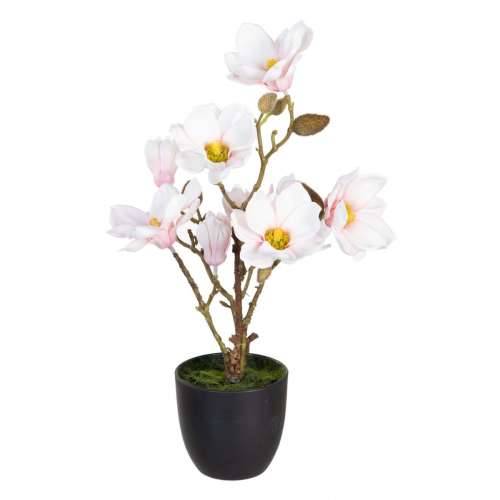 Ukrasna Biljka Poliester Polietilen Željezo 25 x 25 x 49 cm Magnolia Cijena