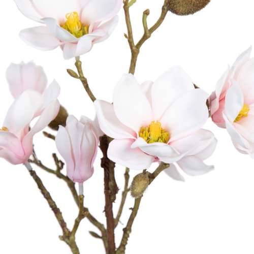 Ukrasna Biljka Poliester Polietilen Željezo 25 x 25 x 49 cm Magnolia Cijena