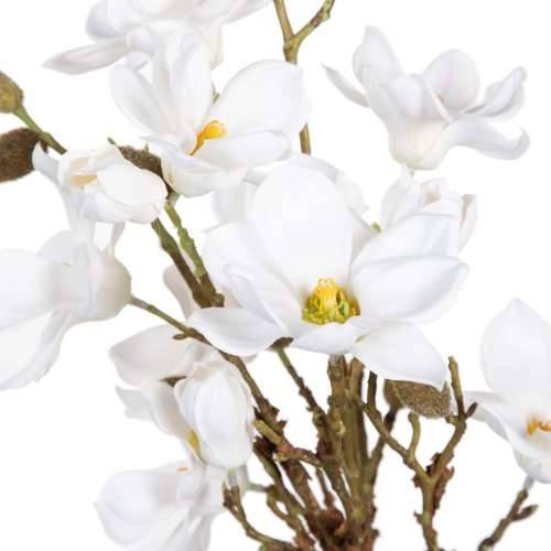 Ukrasna Biljka Poliester Polietilen Željezo 30 x 30 x 60 cm Magnolia Cijena