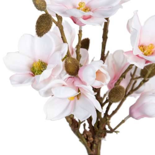Ukrasna Biljka Poliester Polietilen Željezo 30 x 30 x 60 cm Magnolia Cijena