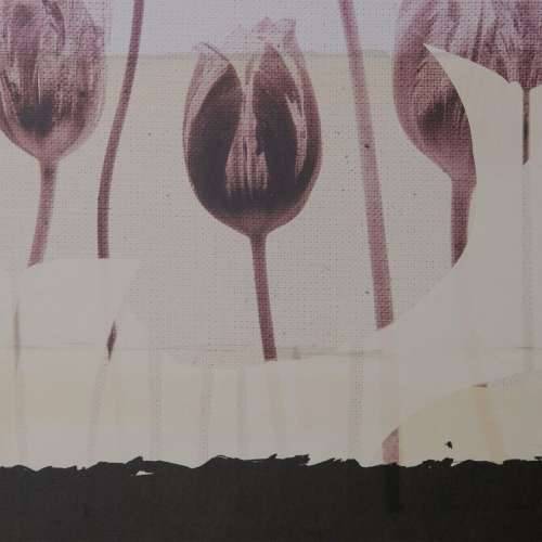 Slika Tulipan 100 x 4 x 140 cm Cijena