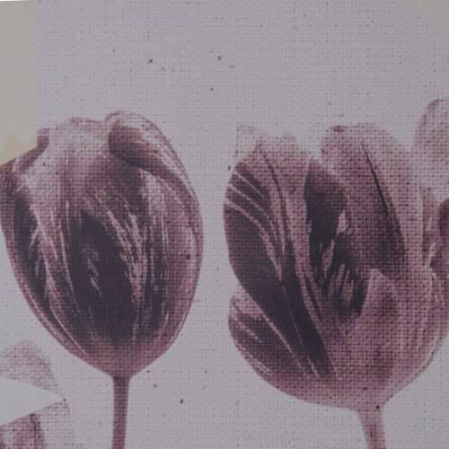 Slika Tulipan 100 x 4 x 140 cm Cijena