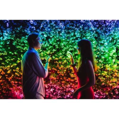 LED Svjetlosti Twinkly TWS600STP-BEU Cijena