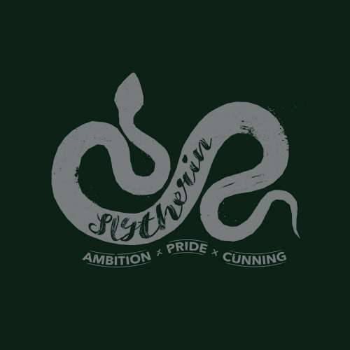 Poplun Harry Potter Slytherin Pisana 250 x 4 x 270 cm Krevet od 150 Cijena