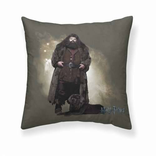 Jastučnica Harry Potter Hagrid Pisana 50 x 50 cm Cijena