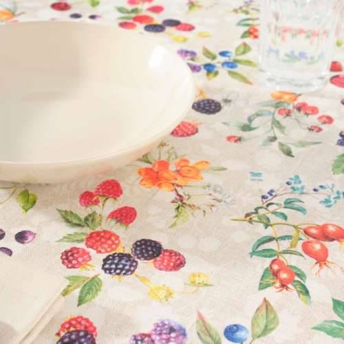 Stolnjak protiv mrlja Belum 0120-347 Pisana 250 x 150 cm Cijena