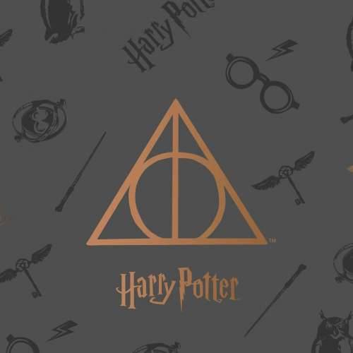 prekrivač Harry Potter Deathly Hallows Pisana krevet 150 cm Cijena