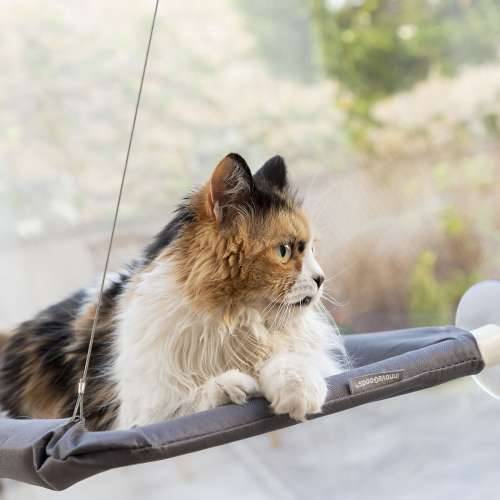 Viseći ležaj za mačke Catlax InnovaGoods Cijena