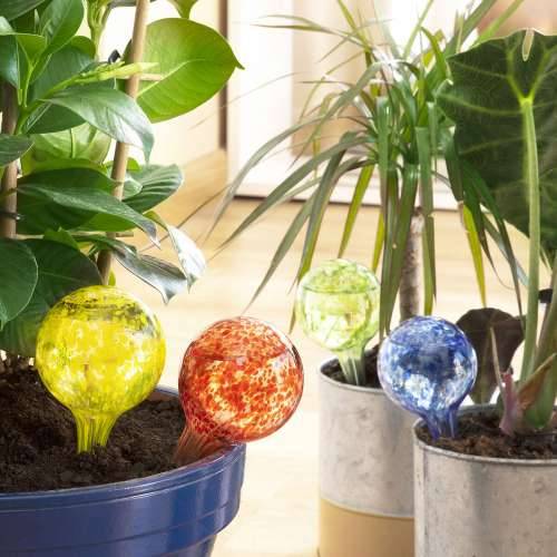 Automatske Kugle za Navodnjavanje Ballwooters InnovaGoods 4 kom. Cijena