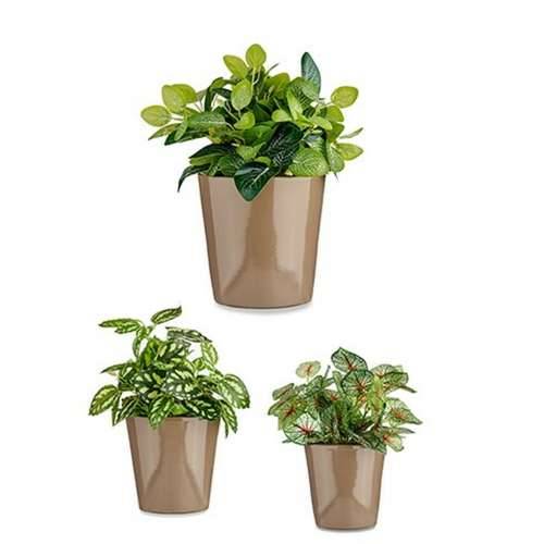 Set Tegli Ibergarden Cónica Ø 14 cm Ø 22 cm Ø 17 cm Plastika 30 x 40 cm 3 Dijelovi (3 Dijelovi) Cijena