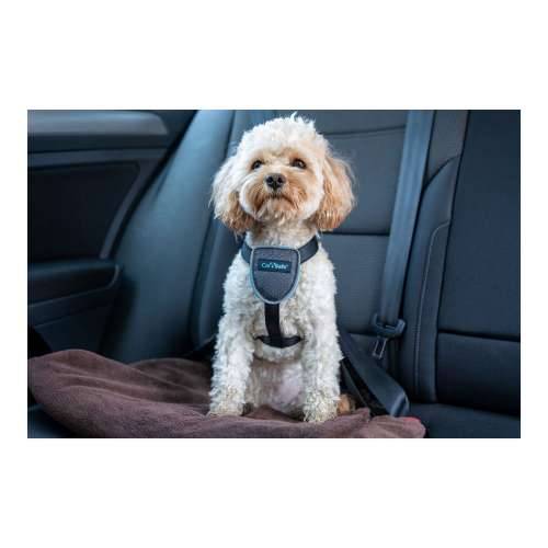 Orma za pse Company of Animals CarSafe Crna L Cijena