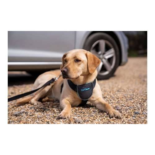 Orma za pse Company of Animals CarSafe Crna L Cijena