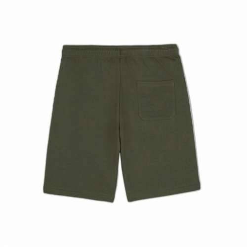 Sportske Kratke Hlače Dickies Mapleton Vojno zelena Maslina Cijena