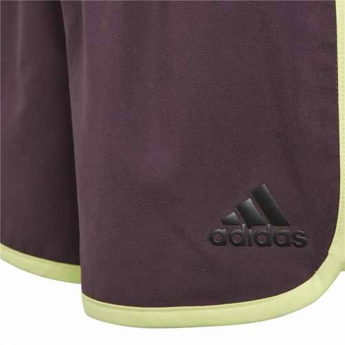 Sportske Kratke Hlače Adidas Training Marathon Tamno crvena Cijena