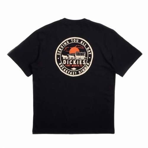 Muška Majica Kratkih Rukava Dickies Greensburg Crna Cijena
