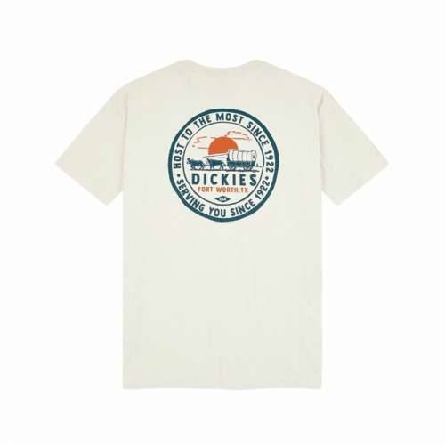 Muška Majica Kratkih Rukava Dickies Greensburg Smeđa Cijena