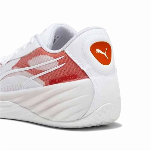 Košarkaške Tenisice za Odrasle Puma All-Pro Nitroam Bijela Cijena