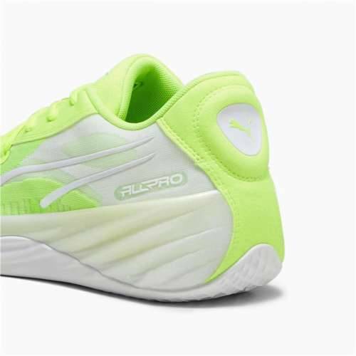 Košarkaške Tenisice za Odrasle Puma All-Pro Nitro Rumena Cijena