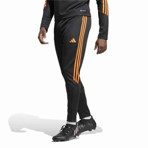 Hlače za Nogometni Trening za Odrasle Adidas Tiro 23 Crna Moški Cijena