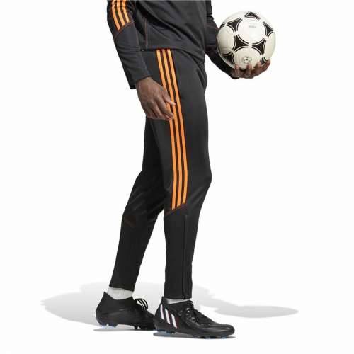 Hlače za Nogometni Trening za Odrasle Adidas Tiro 23 Crna Moški Cijena