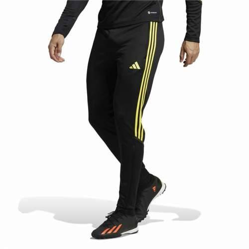 Hlače za Nogometni Trening za Odrasle Adidas Tiro 23 Crna Moški Cijena