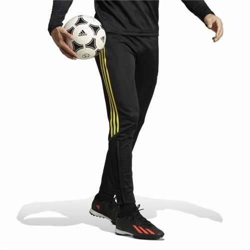 Hlače za Nogometni Trening za Odrasle Adidas Tiro 23 Crna Moški Cijena