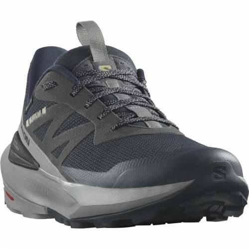 Tenisice za Trčanje za Odrasle Salomon Elixir Activ GORE-TEX® Cijena