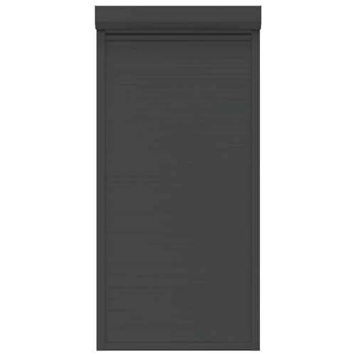 Roleta aluminijska 100 x 210 cm antracit - Antracit 100 x 210 cm Cijena