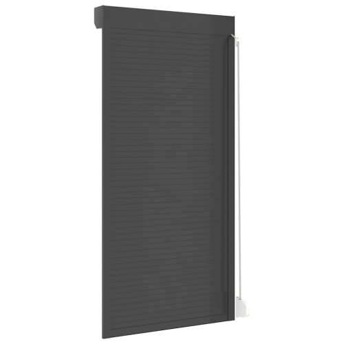 Roleta aluminijska 100 x 210 cm antracit - Antracit 100 x 210 cm Cijena