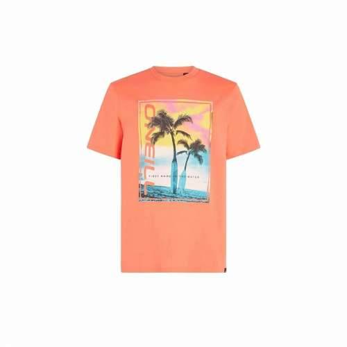 Muška Majica Kratkih Rukava O’Neill Jack Neon Living Oranžna Cijena