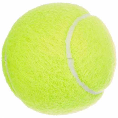 Teniske Loptice Dunlop 601316 Rumena Cijena