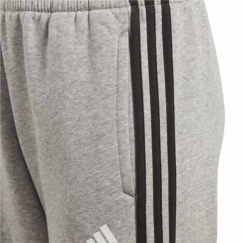 Dječji Sportski Šorc Adidas Siva Cijena