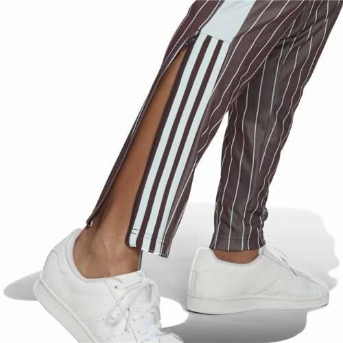 Dlhé športové nohavice Adidas Smeđa Dama Cijena